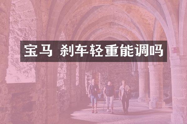 宝马 刹车轻重能调吗