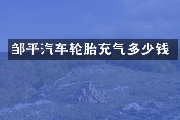 邹平汽车轮胎充气多少钱