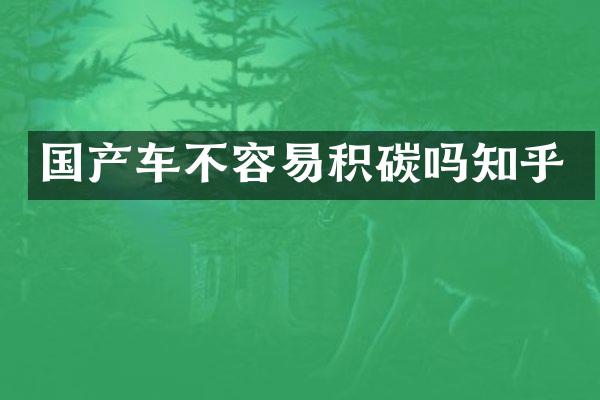 国产车不容易积碳吗知乎
