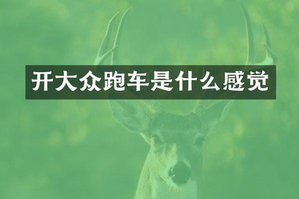 开大众跑车是什么感觉