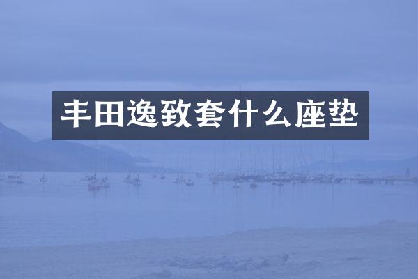 丰田逸致套什么座垫
