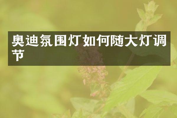 奥迪氛围灯如何随大灯调节