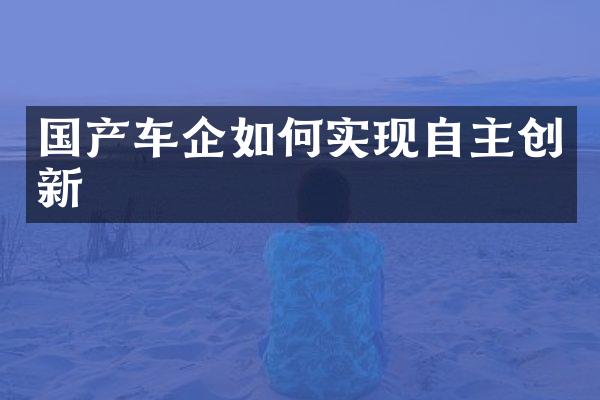 国产车企如何实现自主创新