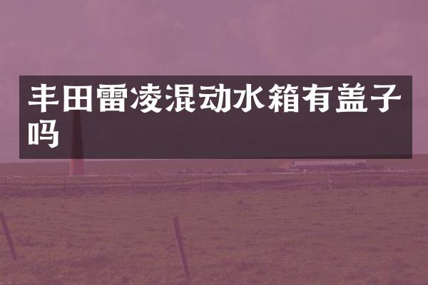 丰田雷凌混动水箱有盖子吗