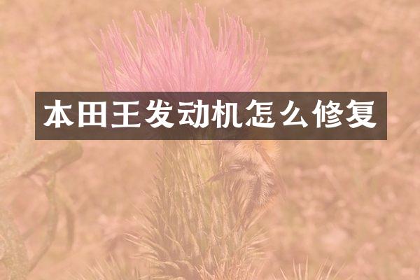 本田王发动机怎么修复