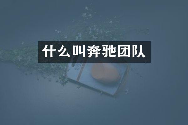 什么叫奔驰团队