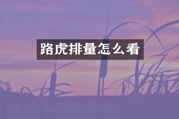 路虎排量怎么看