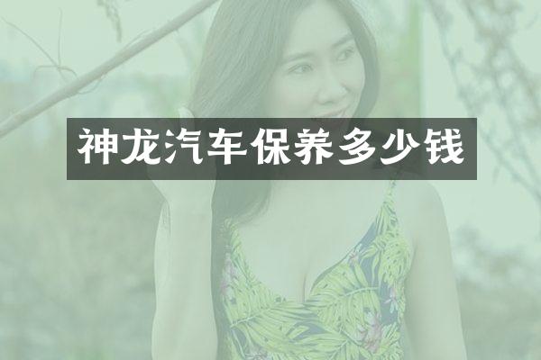 神龙汽车保养多少钱