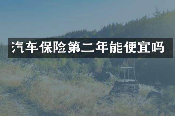 汽车保险第二年能便宜吗