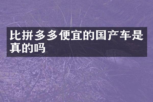 比拼多多便宜的国产车是真的吗