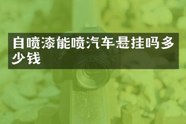 自喷漆能喷汽车悬挂吗多少钱