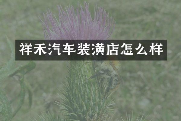 祥禾汽车装潢店怎么样