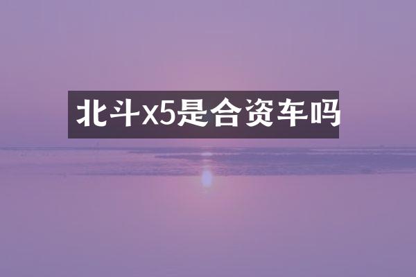 北斗x5是合资车吗