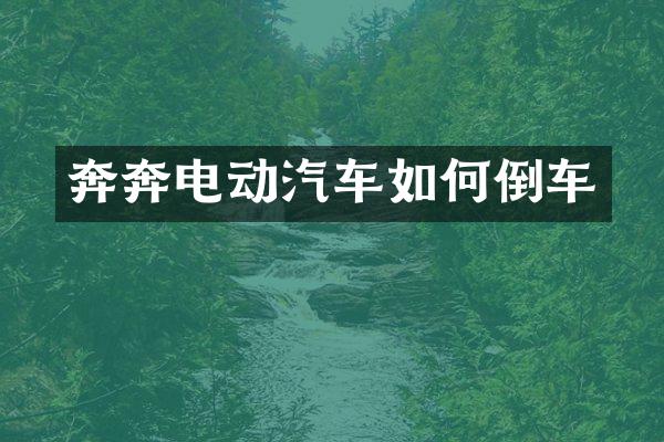 奔奔电动汽车如何倒车