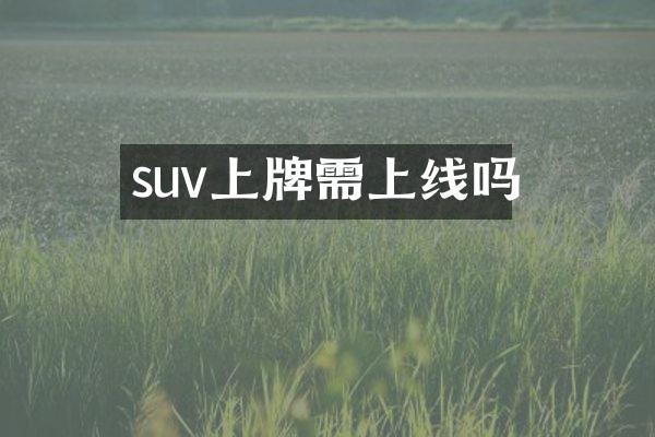 suv上牌需上线吗