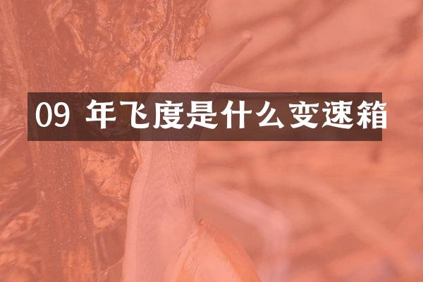 09 年飞度是什么变速箱
