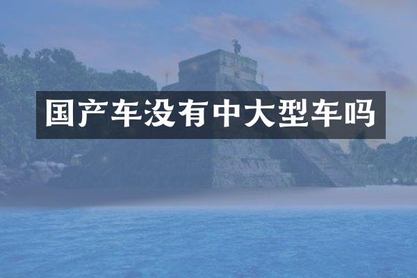 国产车没有中大型车吗