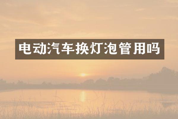 电动汽车换灯泡管用吗