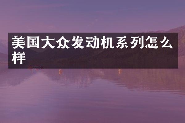 美国大众发动机系列怎么样