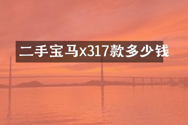 二手宝马x317款多少钱