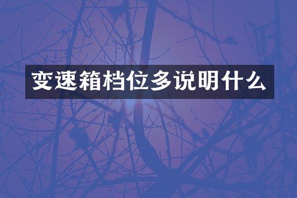 变速箱档位多说明什么