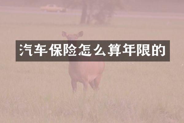汽车保险怎么算年限的