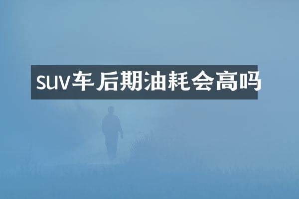 suv车后期油耗会高吗