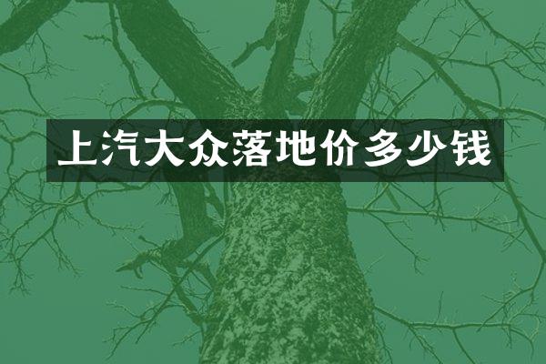 上汽大众落地价多少钱