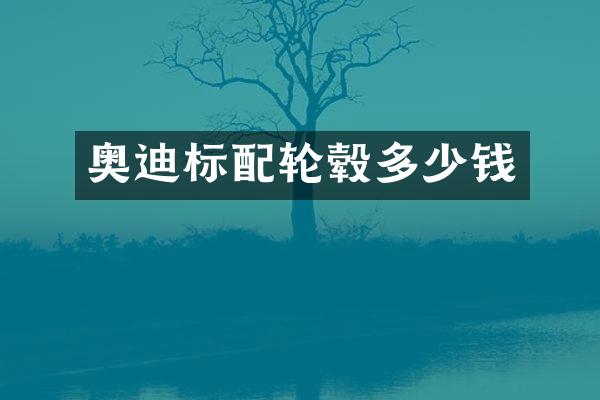 奥迪标配轮毂多少钱