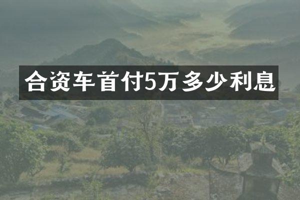 合资车首付5万多少利息