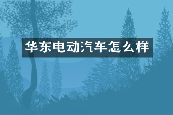 华东电动汽车怎么样