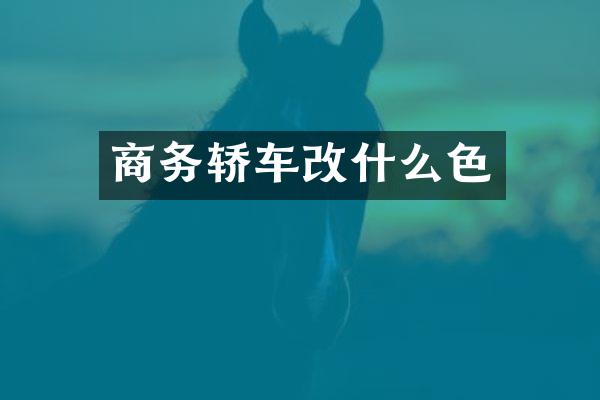 商务轿车改什么色