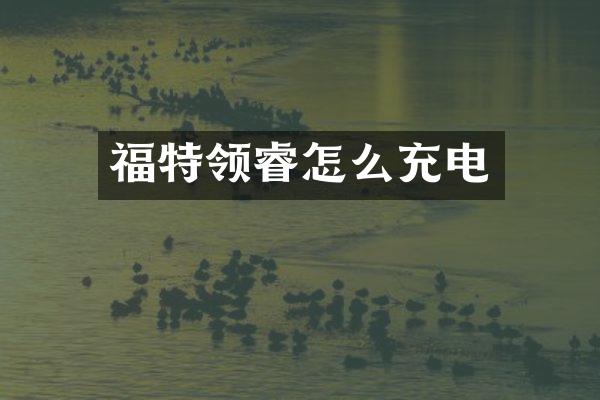 福特领睿怎么充电