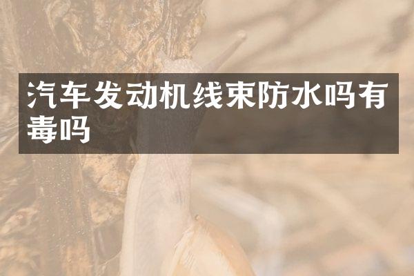 汽车发动机线束防水吗有毒吗
