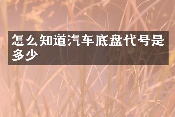 怎么知道汽车底盘代号是多少