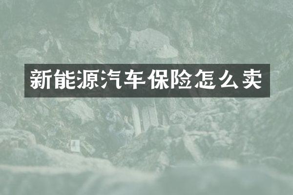 新能源汽车保险怎么卖