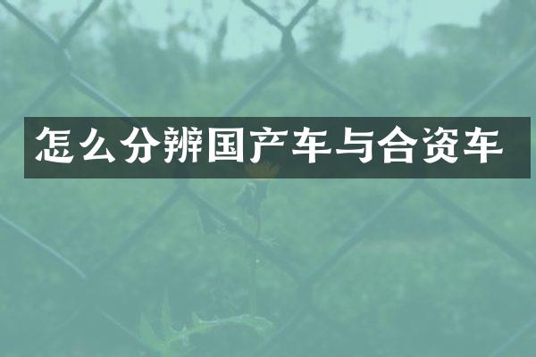 怎么分辨国产车与合资车
