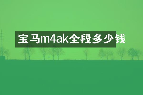 宝马m4ak全段多少钱