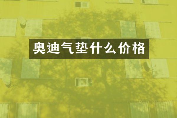 奥迪气垫什么价格
