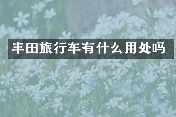 丰田旅行车有什么用处吗
