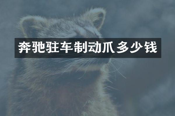 奔驰驻车制动爪多少钱