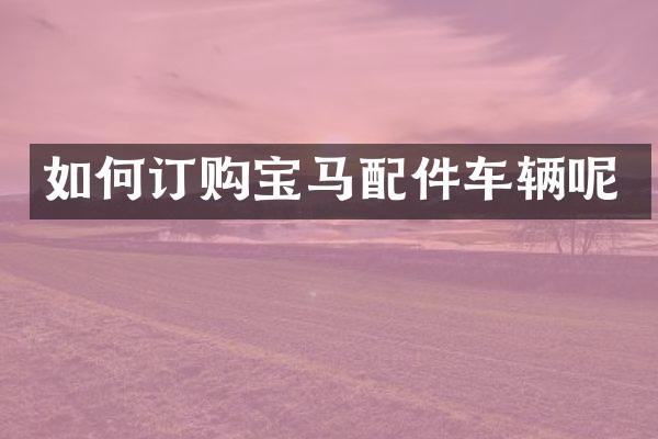 如何订购宝马配件车辆呢