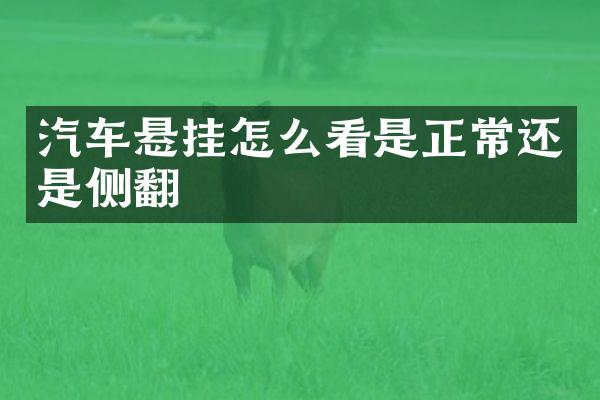 汽车悬挂怎么看是正常还是侧翻