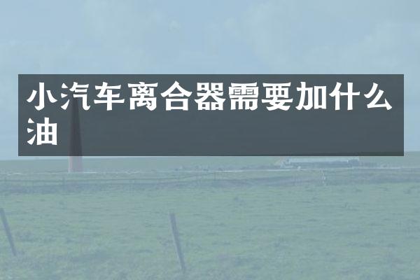 小汽车离合器需要加什么油