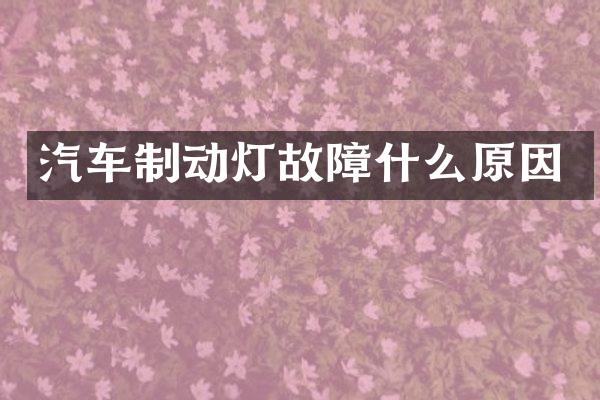 汽车制动灯故障什么原因