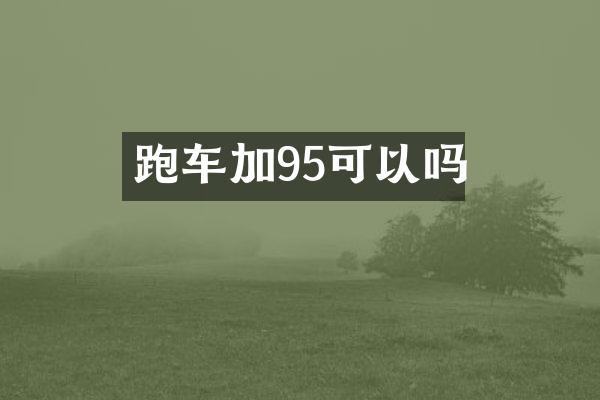 跑车加95可以吗
