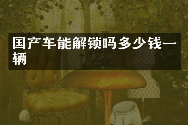 国产车能解锁吗多少钱一辆