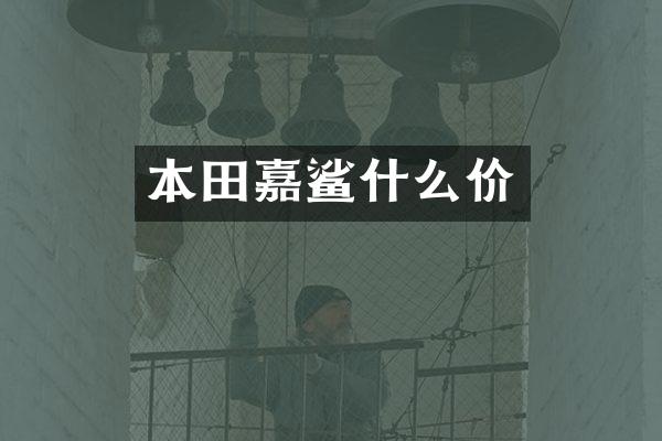 本田嘉鲨什么价