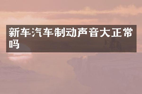 新车汽车制动声音大正常吗