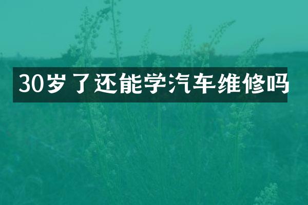 30岁了还能学汽车维修吗